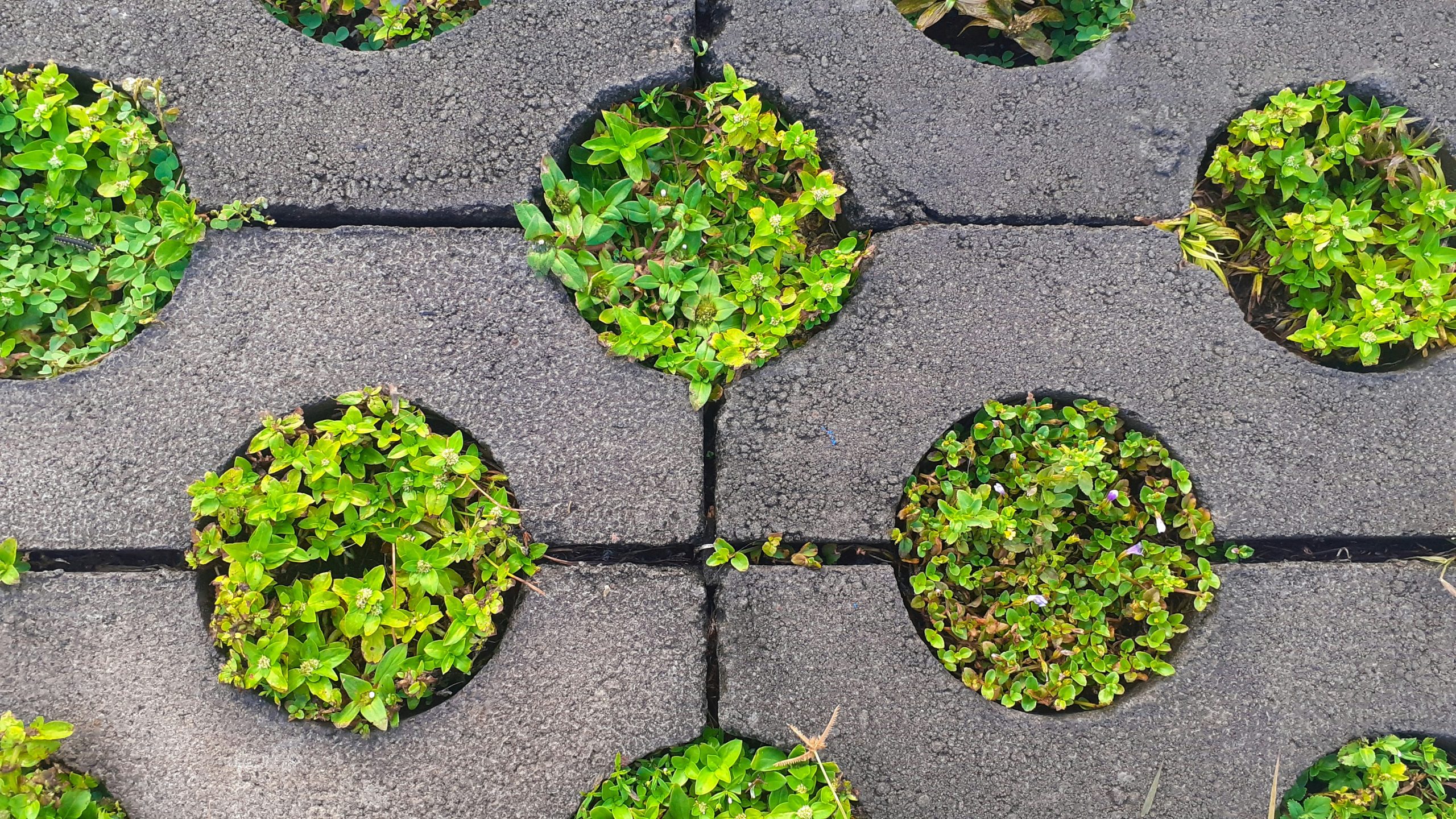 Hello world!